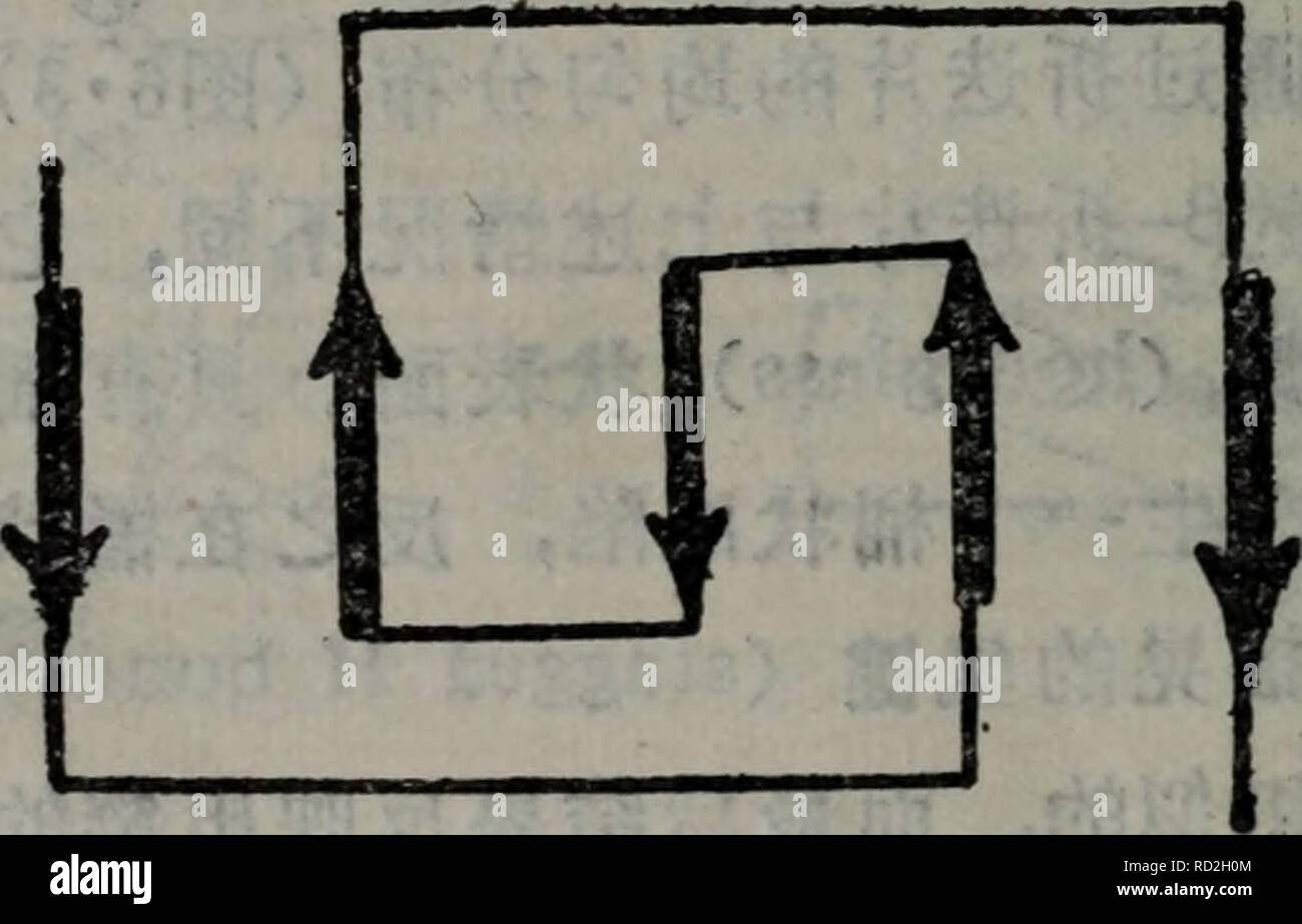. dan bai zhi de jie gou yu gong neng. botany. ææ§æ¢å½±æå¹³è¡3-æè¿-çè¿æ ...