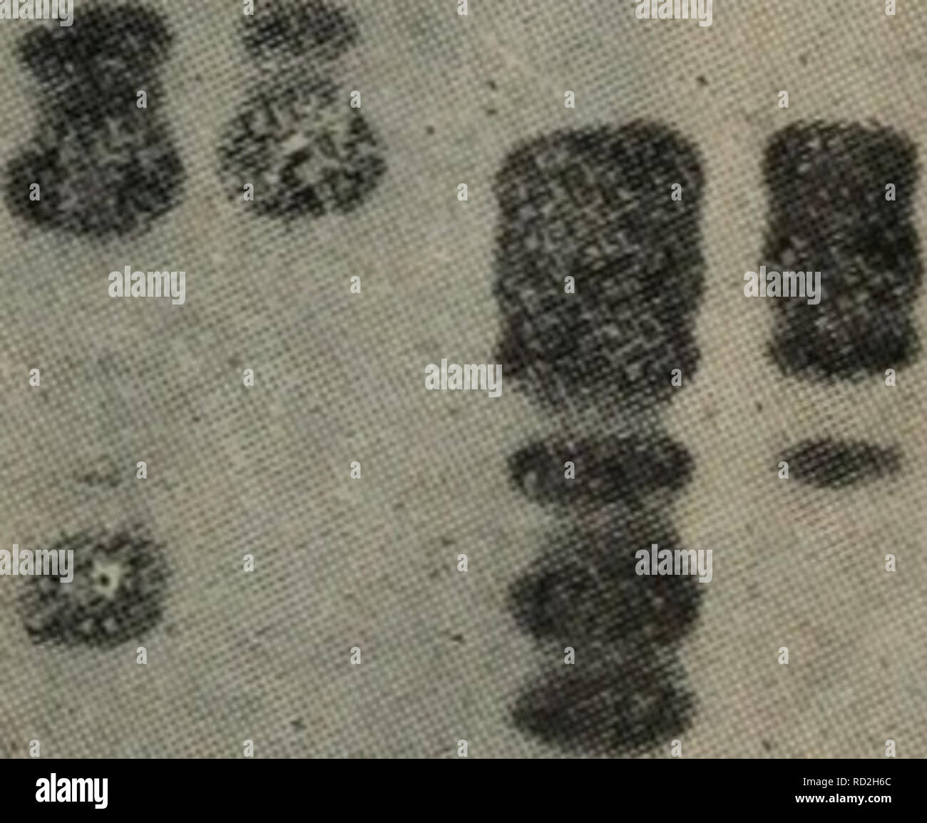 T 37a High Resolution Stock Photography And Images Alamy