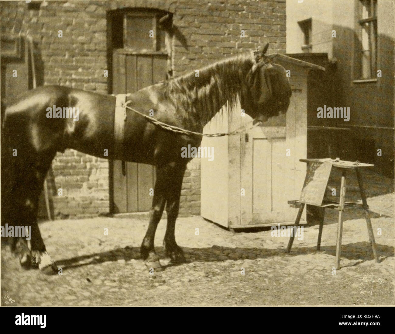 Get Eigener weg Free