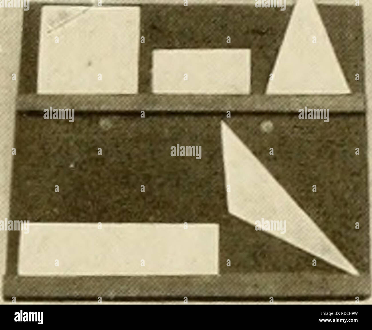 Denkende Tiere Beitrage Zur Tierseelenkunde Auf Grund Eigener