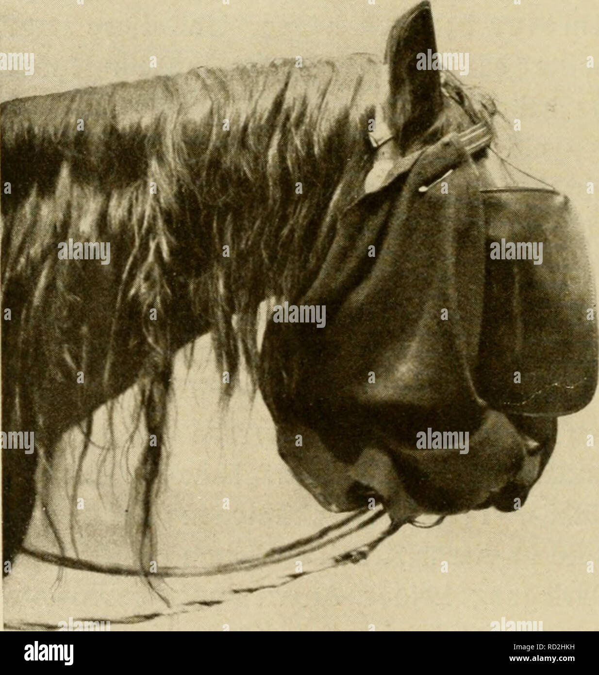 Haus Wie Ich Stock Photos Haus Wie Ich Stock Images Alamy