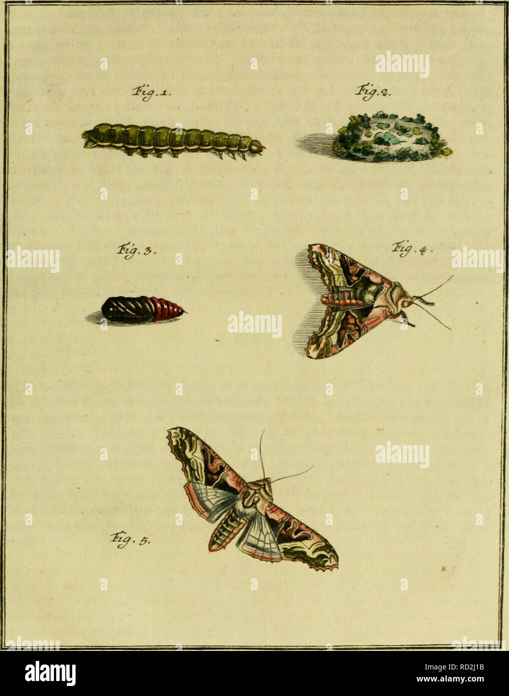 Rah E High Resolution Stock Photography And Images Alamy