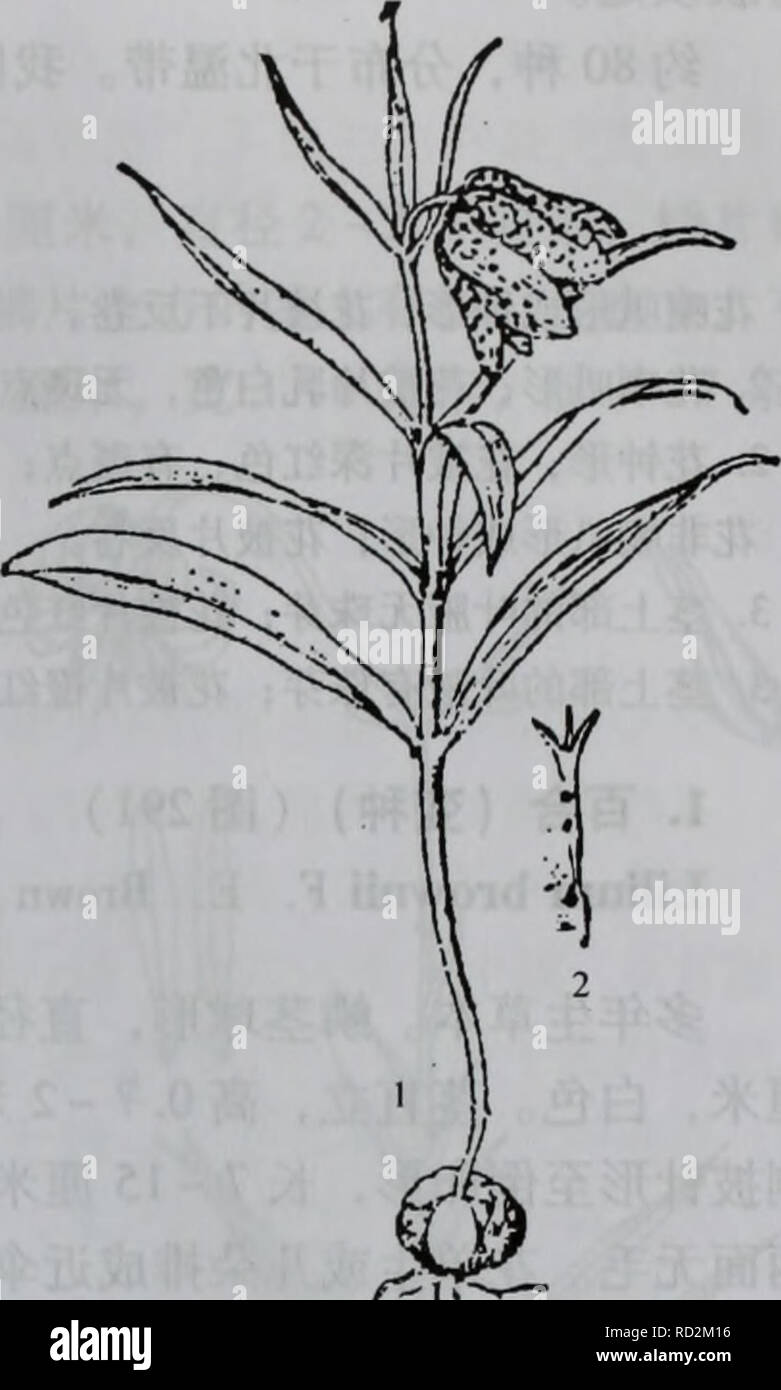 Da Bie Shan Zhi Wu Zhi Botany Ac Ac Aeliliaceae 215 A 2a C C E Ae 1 Ae Ae ªi 2 Ae A Aº Ea Acaºaeµ Ae1 300c Caea Ea A A 3 A C C E Ae I A 2 Fritillaria Monantha Migo A A Ceae I Ae Ae ªe 4560ac Ae Ec 2aee C C Aei C A Cº 2ac A A Ci Aeae A Aeae Cae3a