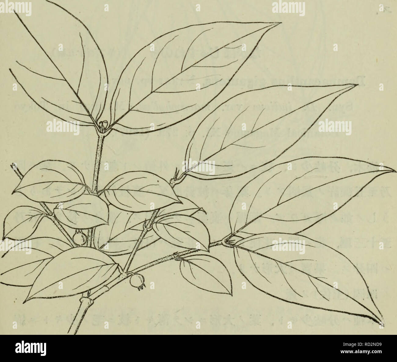 Download Illusio zeit Desktop Wallpaper Free Illusio Zeit