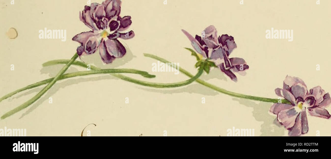 Page 3 C5 6 High Resolution Stock Photography And Images Alamy