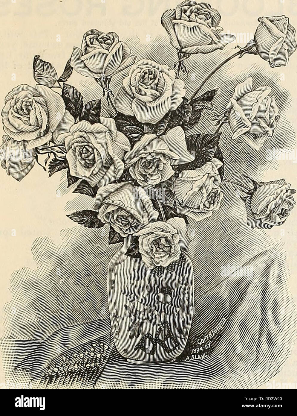 Dealers And Florists Wholesale List Of Plants Seed Industry And