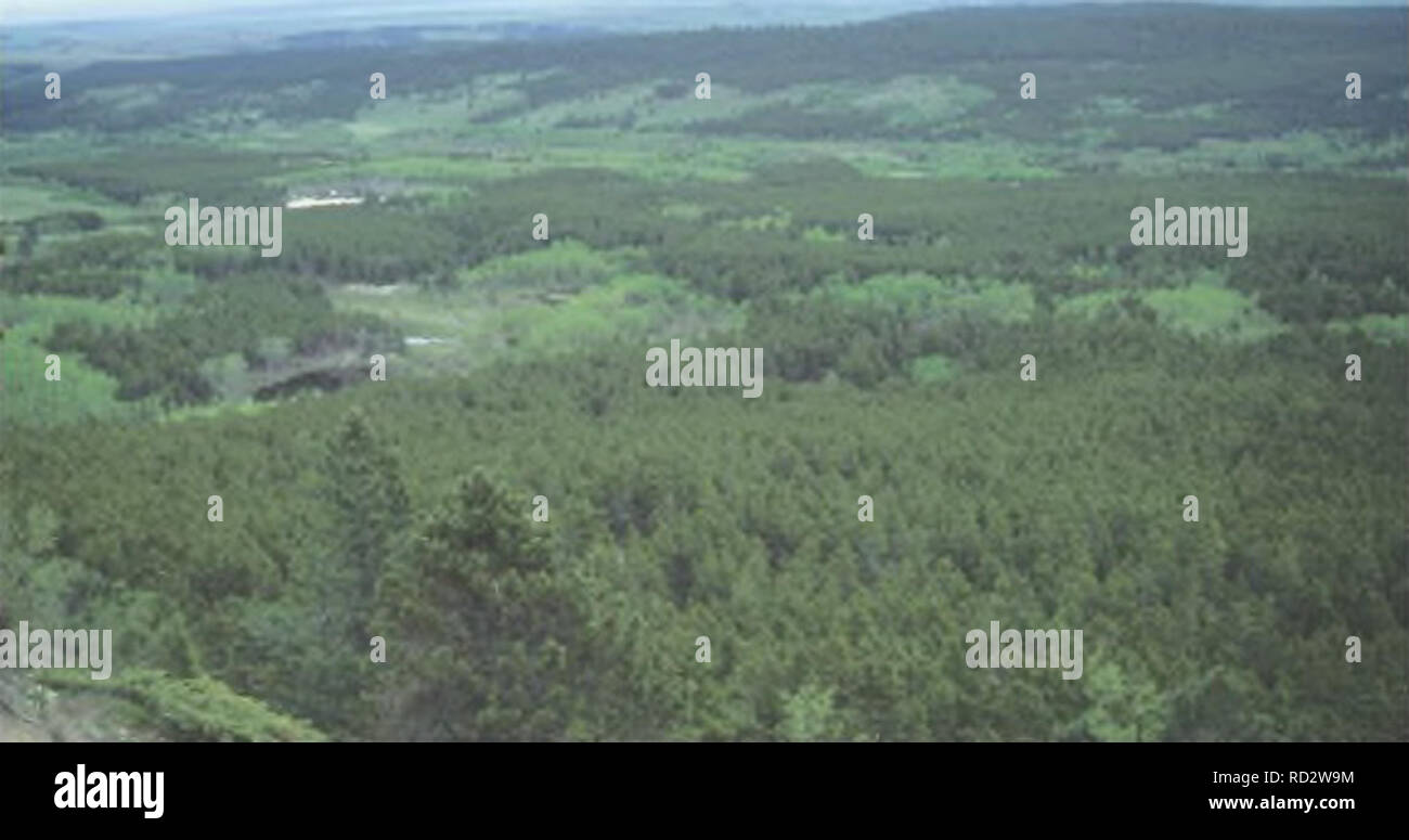 . Ecologically significant wetlands in the Upper Yellowstone River watershed : including the Boulder, Clarks Fork Yellowstone, Shields, and Stillwater River drainages . Plant communities; Botany; Rare plants; Plant conservation. Beaver pond with lodge (West Rosebud Complex). Wet aspen dmws aud potholes in morainal topogiaphy (East Fork Fiddler Creek Complex) Figure 1, Site Photographs (conl) Appendix D. Please note that these images are extracted from scanned page images that may have been digitally enhanced for readability - coloration and appearance of these illustrations may not perfectly r Stock Photo