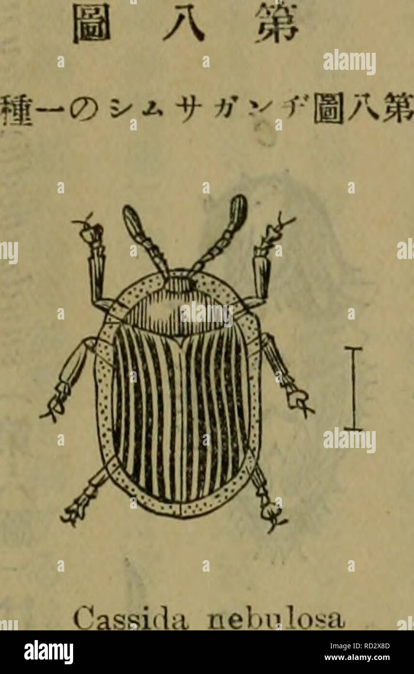 Ss Ec Aea High Resolution Stock Photography And Images Alamy
