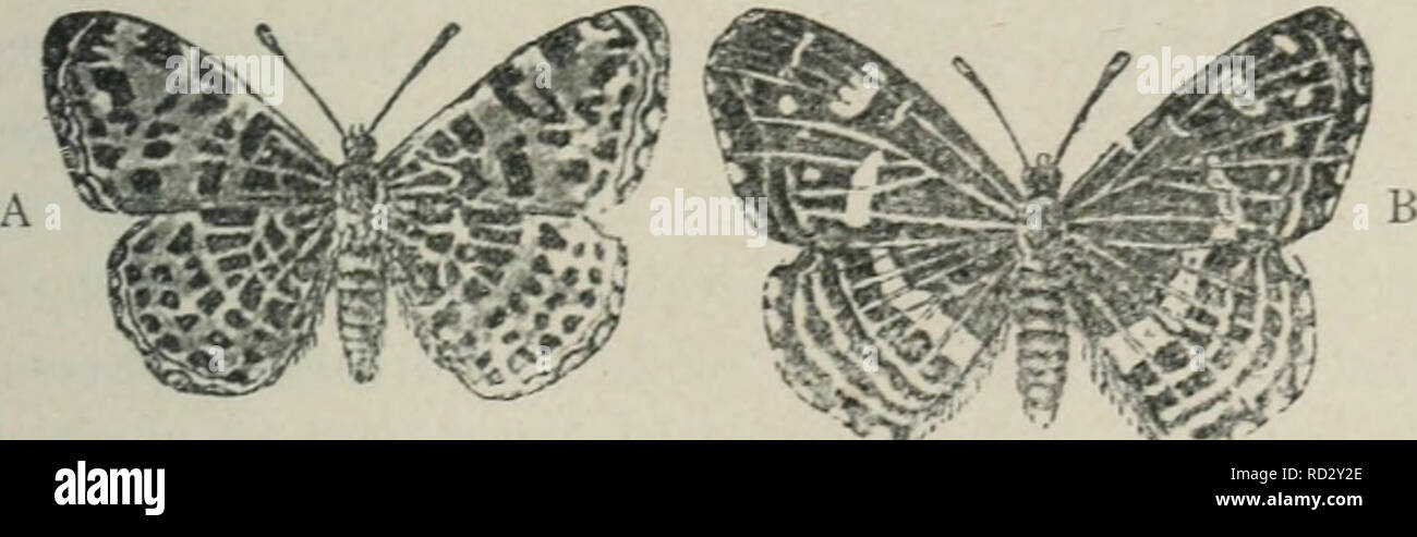 . Das Werden der Organismen; zur Widerlegung von Darwin's