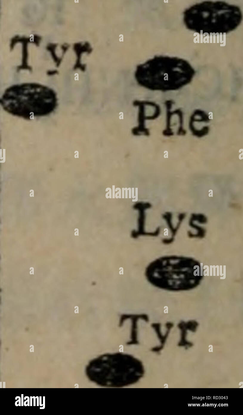 Dan Bai Zhi De Jie Gou Yu Gong Neng Botany I Aee Cfdnbae Aºe Aeac E Acµae Ae Ac Ae E Aecdnsae Aºe I Eaae Ae C Ee Eºi Polyamide Ea A Aei Aeaea A ºae Ai C ee Eºea A Aea A A A Ea A Cc Aei A 2 2 A A 2 2ee Eºea A Ae Dnsnh2a ºa Aeµa Cnae C Ae Aºe