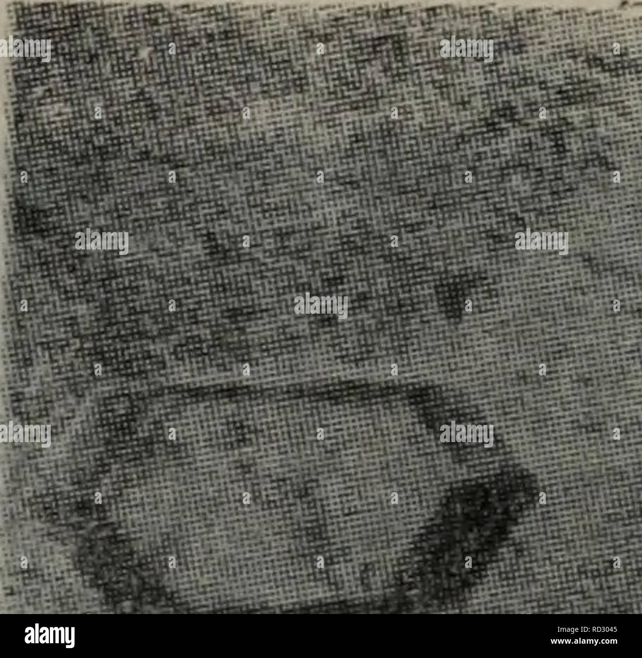 Yan Fang Stock Photos Yan Fang Stock Images Alamy - 