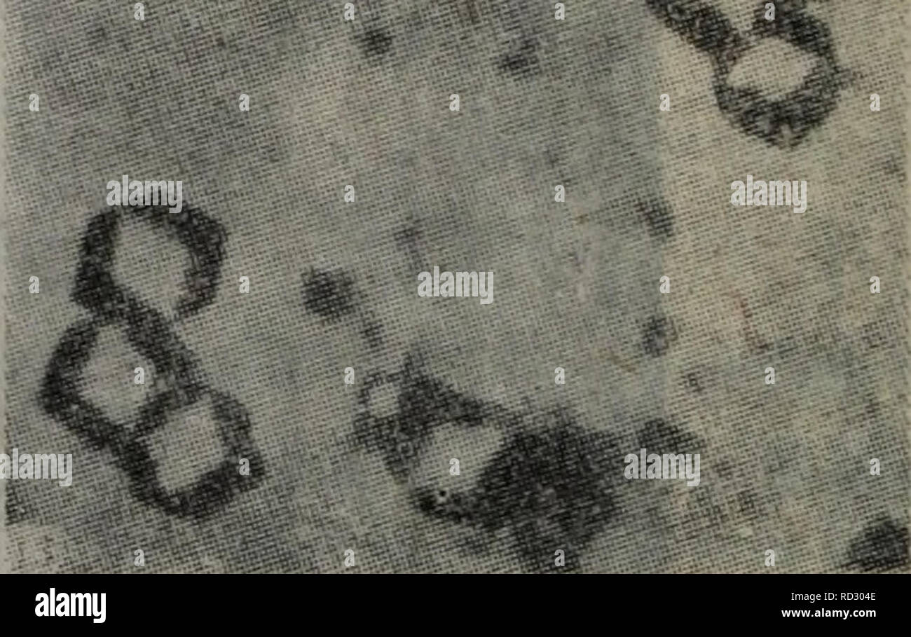 Yan Fang Stock Photos Yan Fang Stock Images Alamy - 