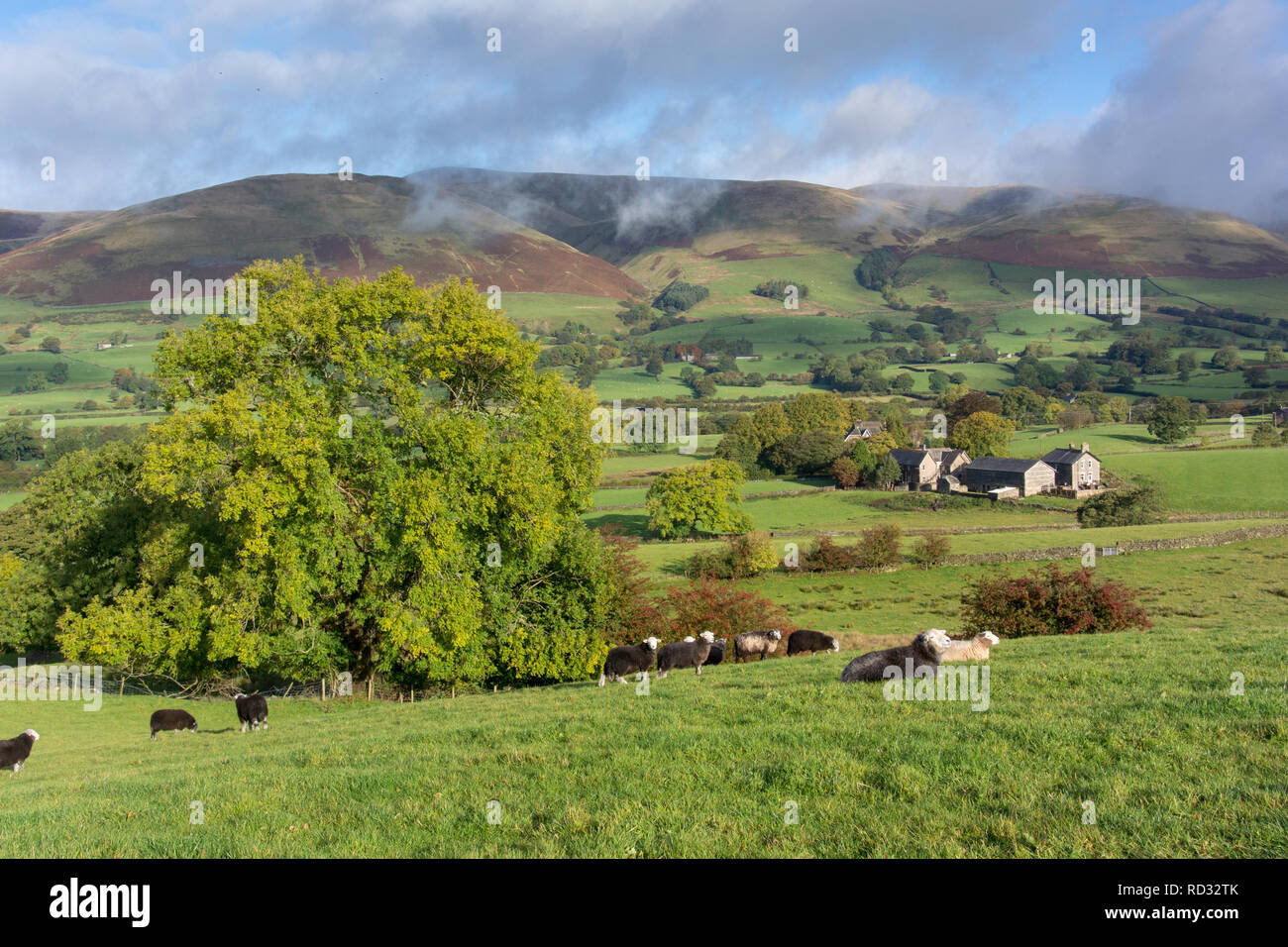 Autumnal day near Sedbergh, Cumbria, ooking onto the Howgill Fells. Yorkshire Dales, UK. Stock Photo