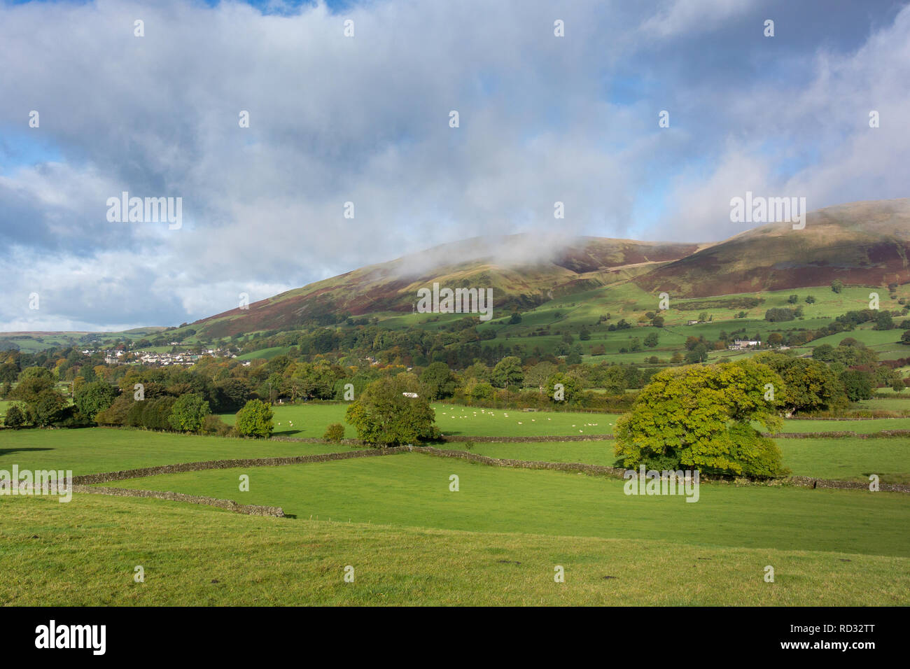 Autumnal day near Sedbergh, Cumbria, ooking onto the Howgill Fells. Yorkshire Dales, UK. Stock Photo