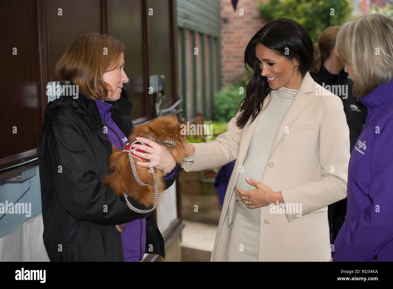 The Duchess of Sussex meets Foxy during a visit to Mayhew, an animal welfare charity she is now supporting as patron, at its offices in north-west London. Stock Photo