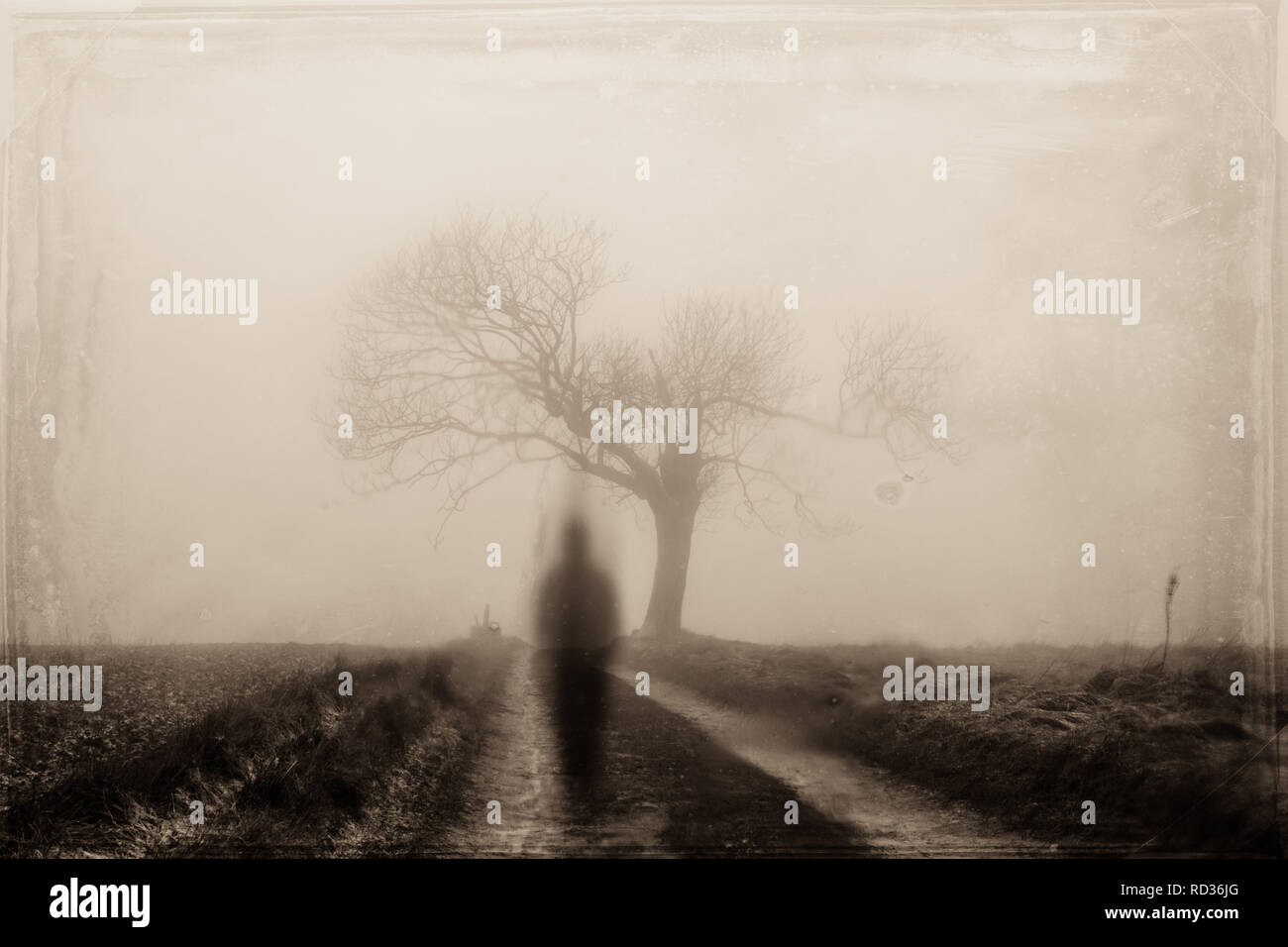 A ghostly blurred figure on a country path in winter. With a grunge, sepia olld photo edit. Stock Photo