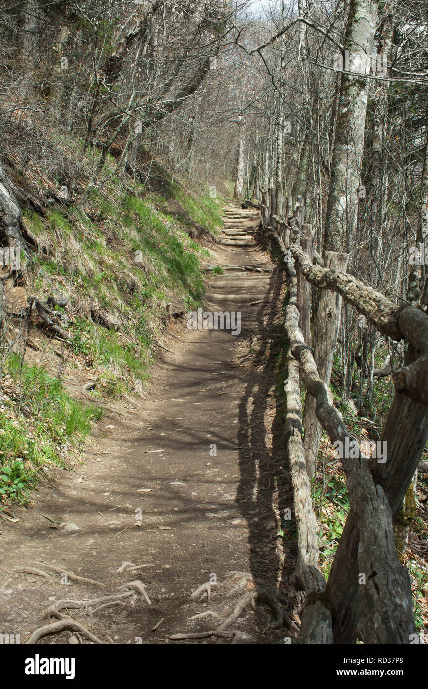 Appalachian Trail at Newfound Gap, Great Smoky Mountains National Park