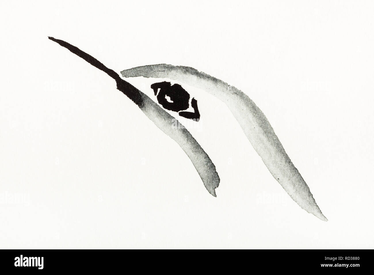 training drawing in sumie (suibokuga) style with watercolor paints