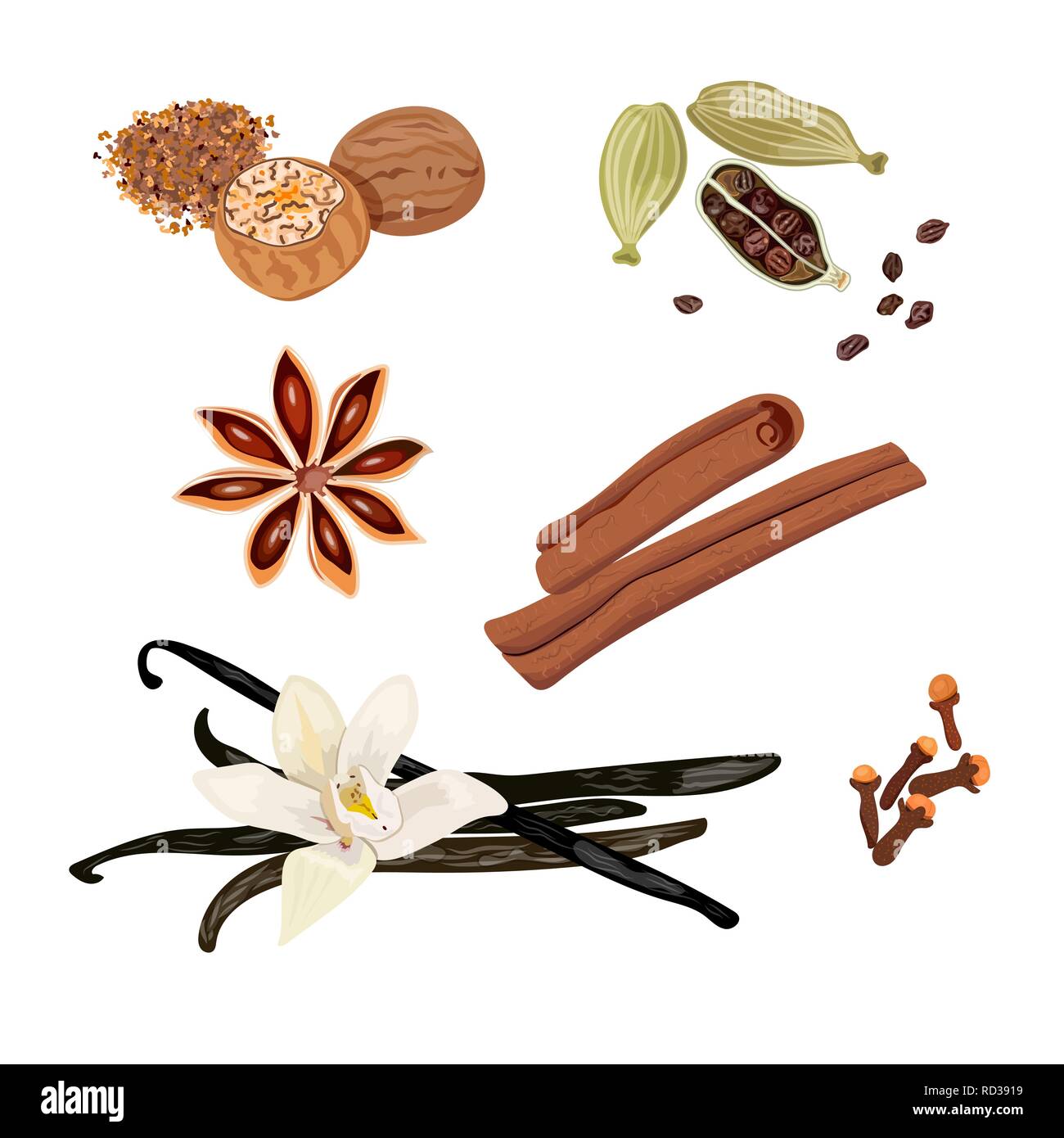 Set vector icons spices. Cardamom, star anise, nutmeg, vanilla flower