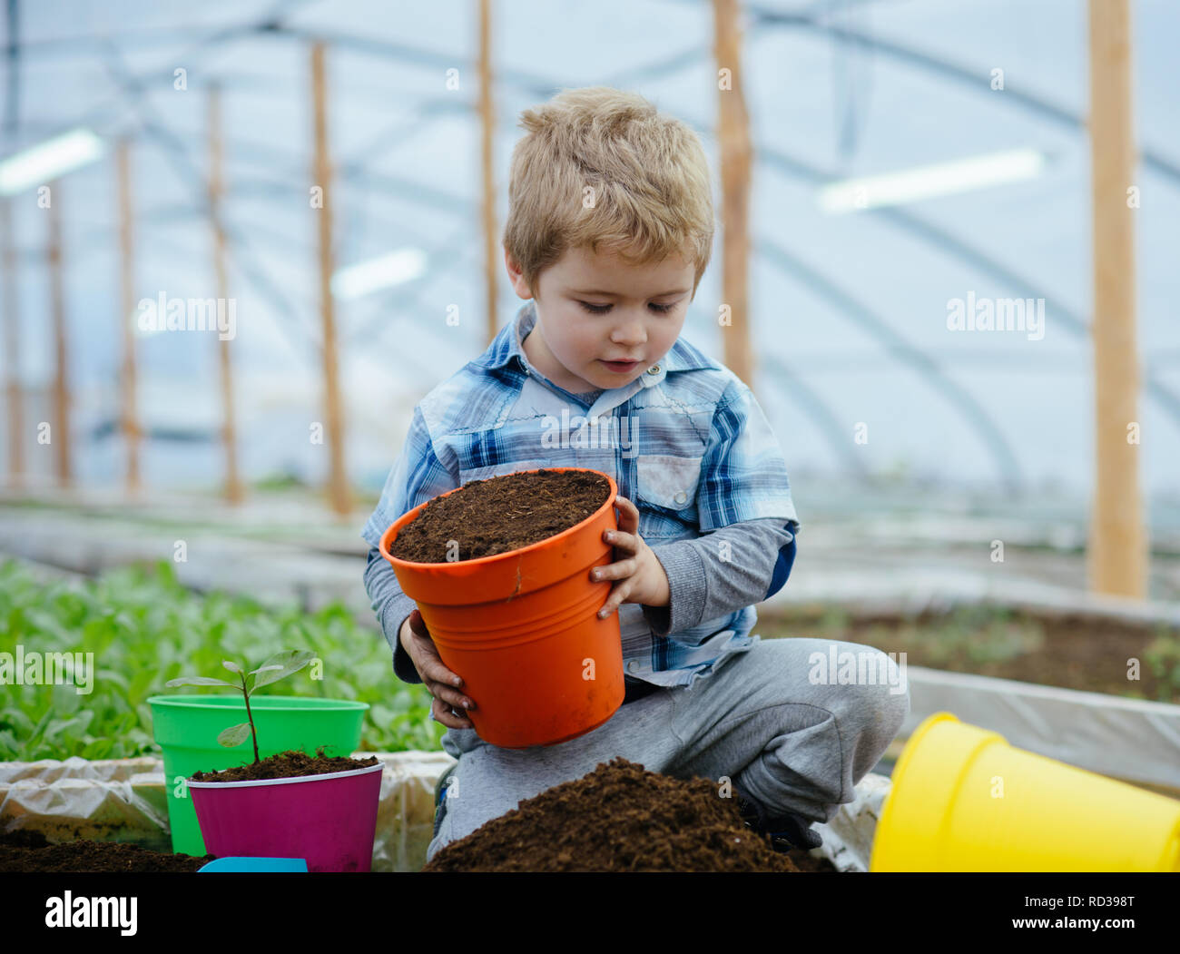 School children planting trees hi-res stock photography and images - Alamy