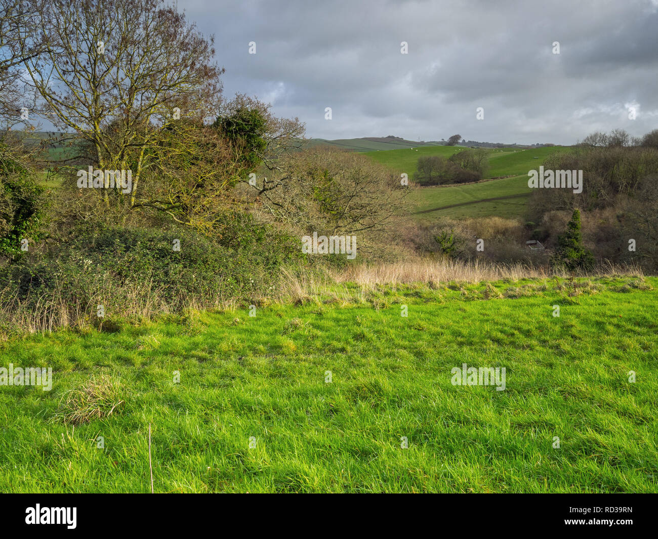 Beautiful scenic views of the North Devon countryside Stock Photo