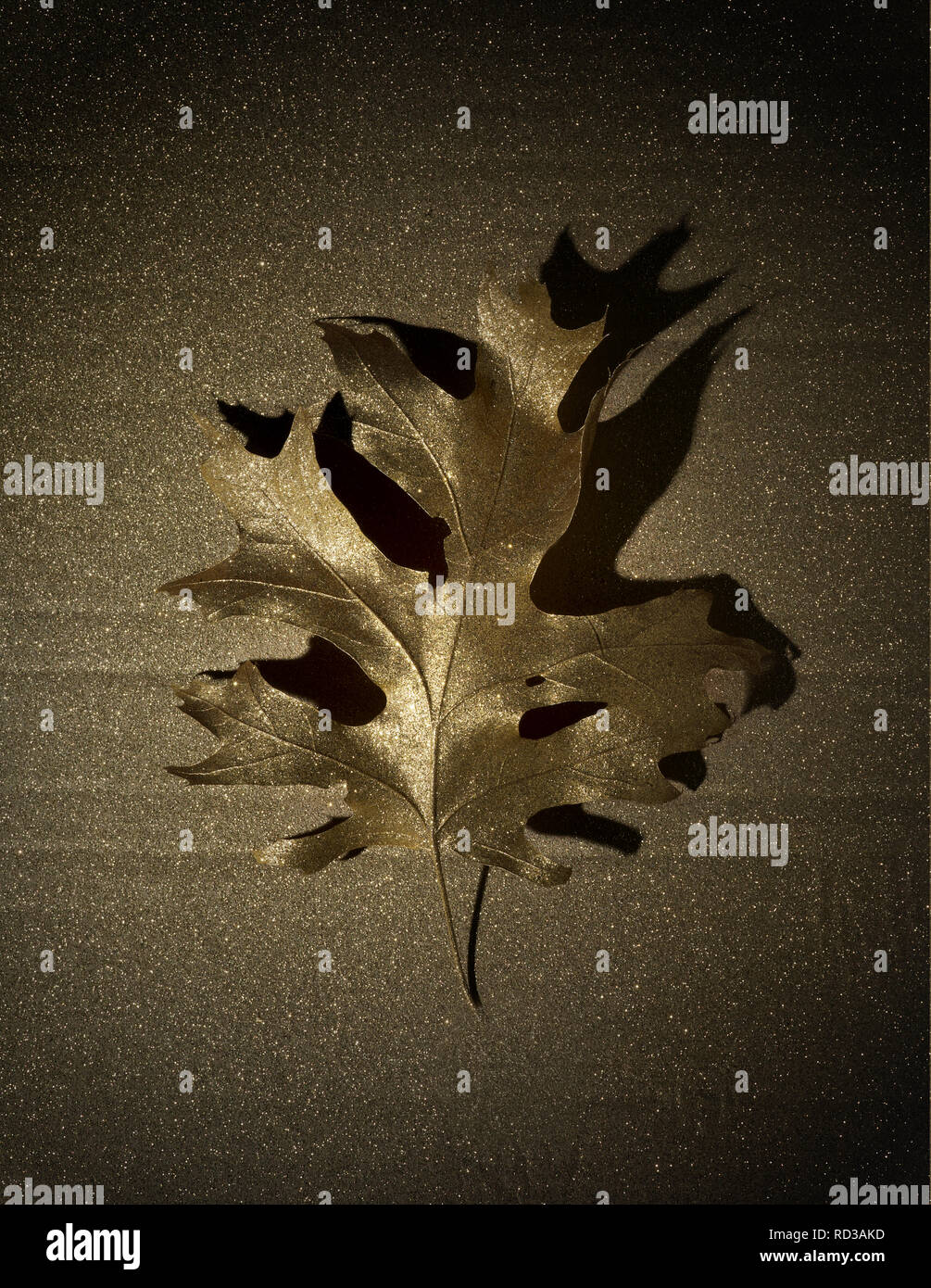 Golden leaf against golden background, studio shot Stock Photo