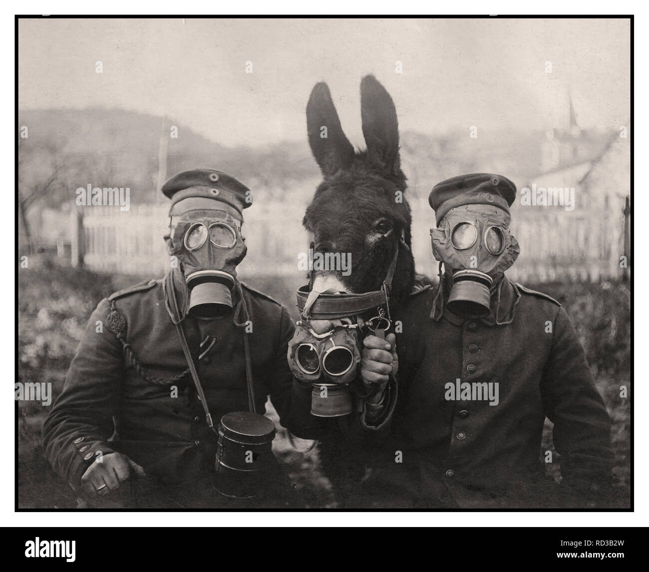 WW1 Gas Masks Vintage B&W stark image of German soldiers and their mule wearing gas masks in WWI 1916. Gases used included chlorine, mustard gas, bromine and phosgene, World War 1 First World War Stock Photo