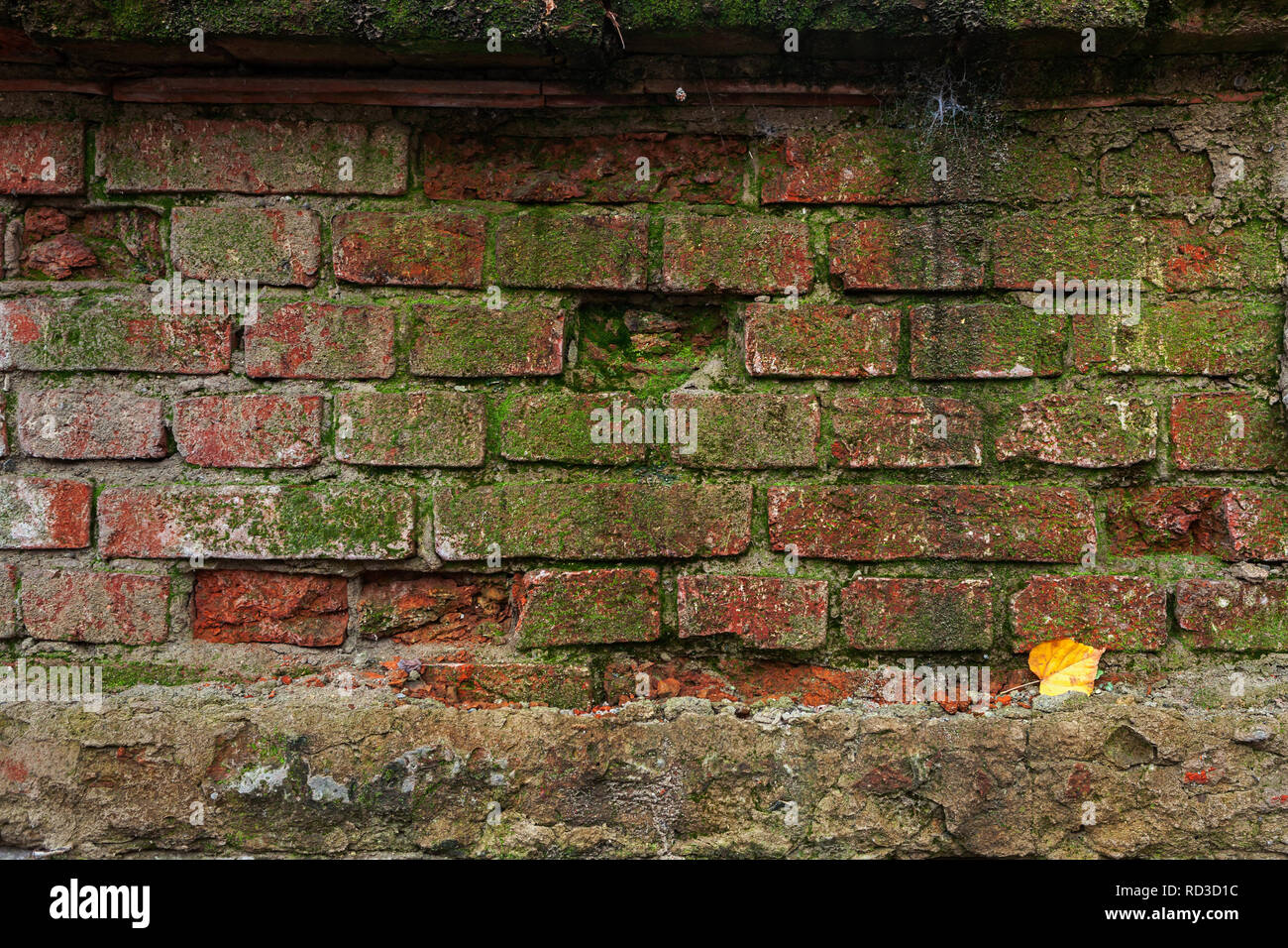 Old shabby red brick wall close up Stock Photo - Alamy