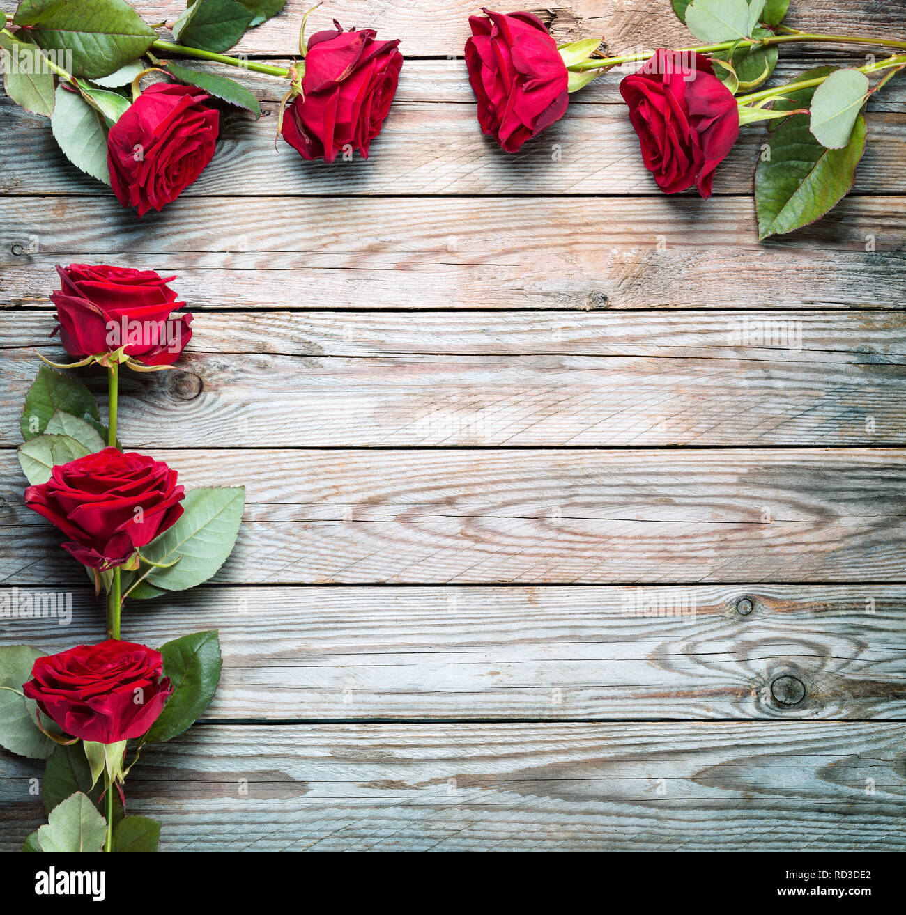 Bouquet of red roses on wooden rustic background. Stock Photo
