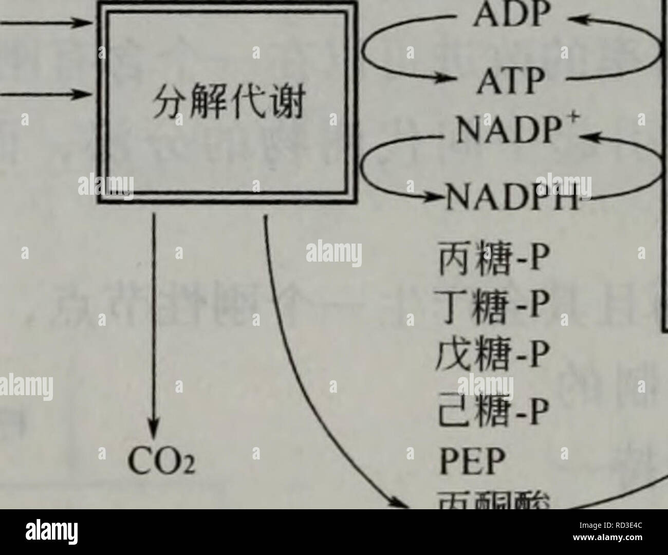 Page 2 Ckm High Resolution Stock Photography And Images Alamy