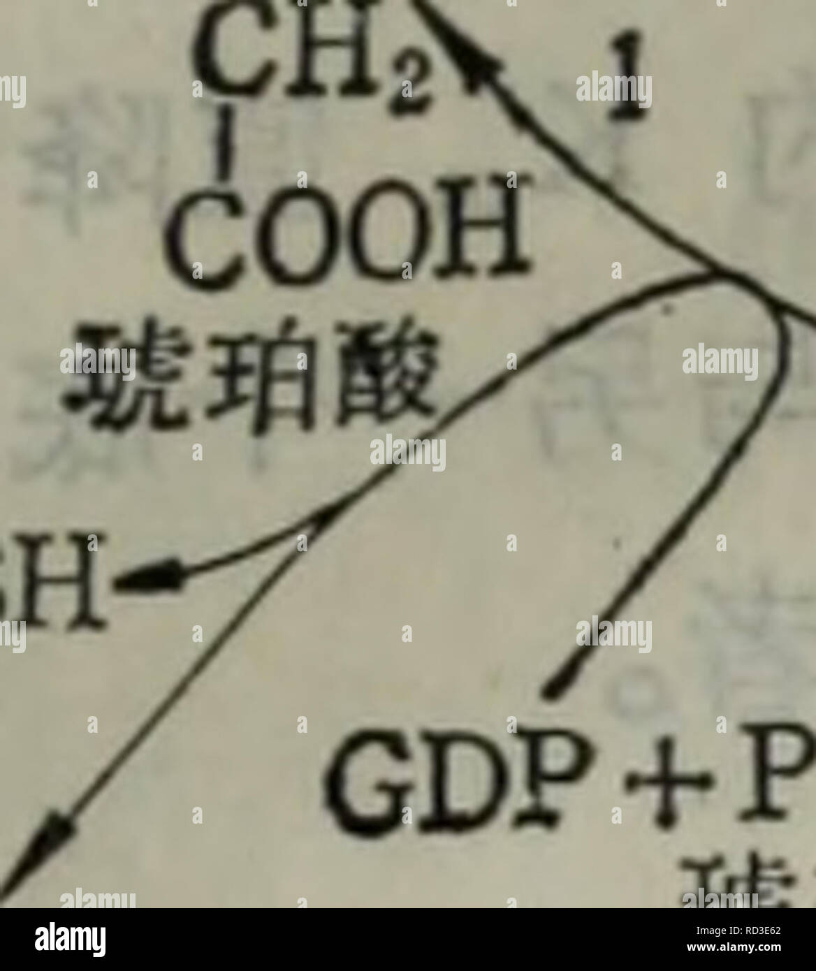 Dai Xie Tang Dai Xie Ji Qi Tiao Kong Yu He Suan Dai Xie Botany A Ka A E A 3 900h H J Cooh Ho C H Iooh A Ae E 4 A Cooh Chis Cooh Please