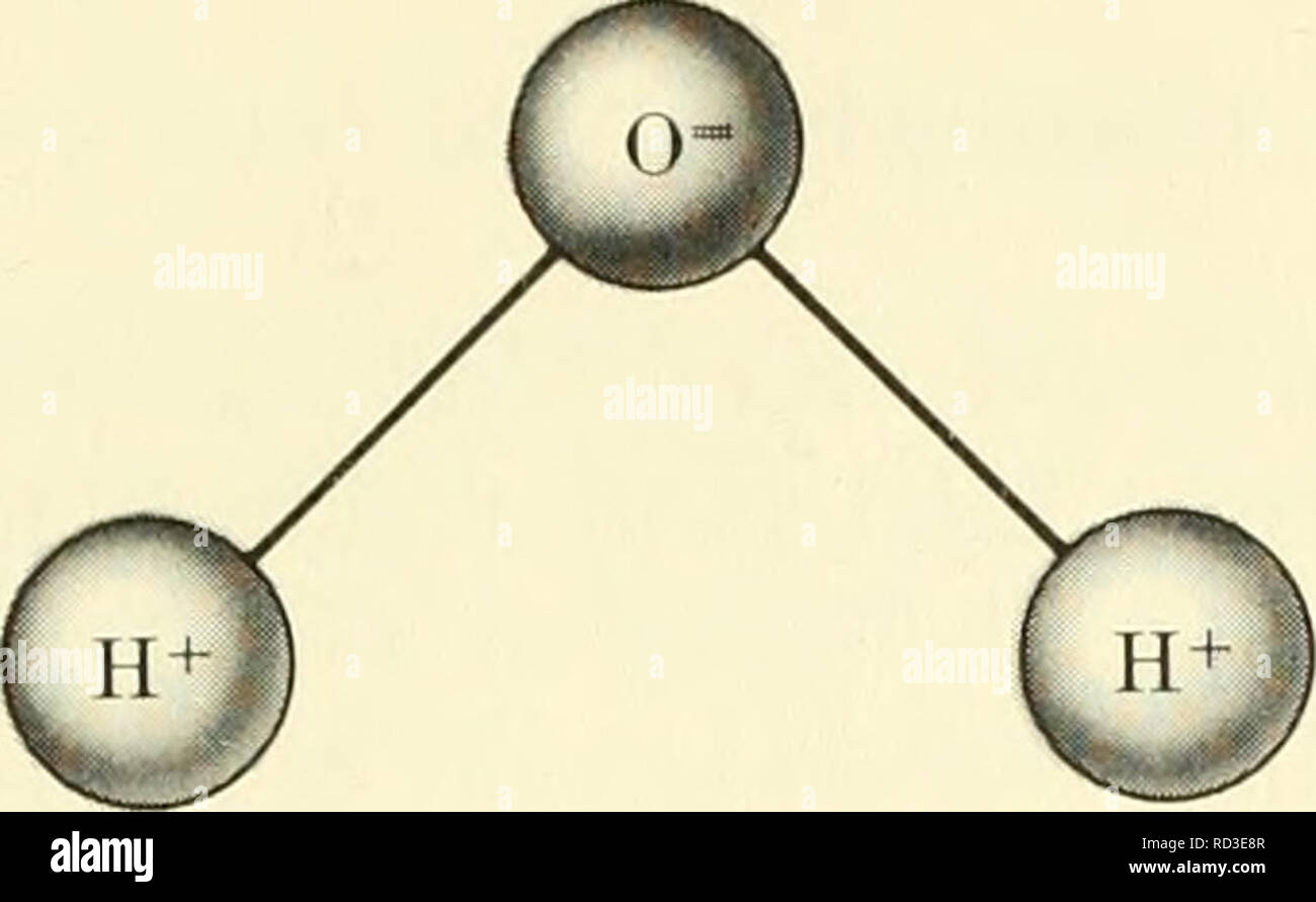 Elementary Biophysics Selected Topics Biophysics Bonds And Energy Exchange 35 Fig 15 A Sketch Of The Elementary Biophysics Selected Topics Biophysics Bonds And Energy Exchange 35 Fig 15 A Sketch Of The