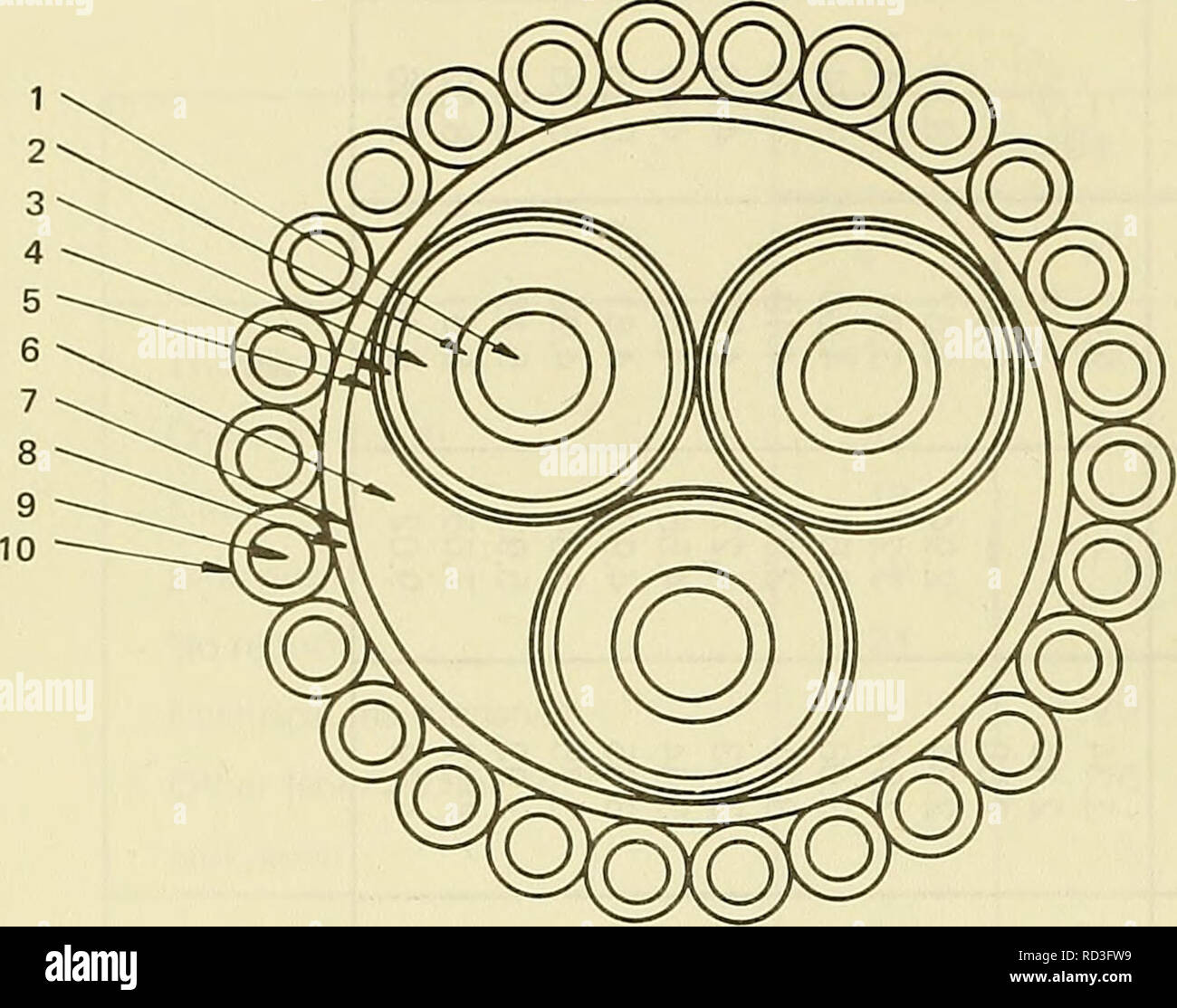 . Deep ocean power systems. Electric power distribution; Hydroelectric power plants. 1. Conauctor 2. Extruded strand shielding 3. Polyetliylene insulation 4. Tape 5. Copper shielding 6. Fill waterproof jute 7. Binder mylar tape 8. Polyethylene jacket 9. High-strength galvanized steel armor 10. High-density polyethylene jacket over each armor wire Figure 18. Typical cross section of selected marine cable. One of the first devices used for sealing a cable penetration on a deep submergence pressure hull was a 1.1-inch-diameter, four-conductor cable sealed with a stuffing box design. The packing w Stock Photo