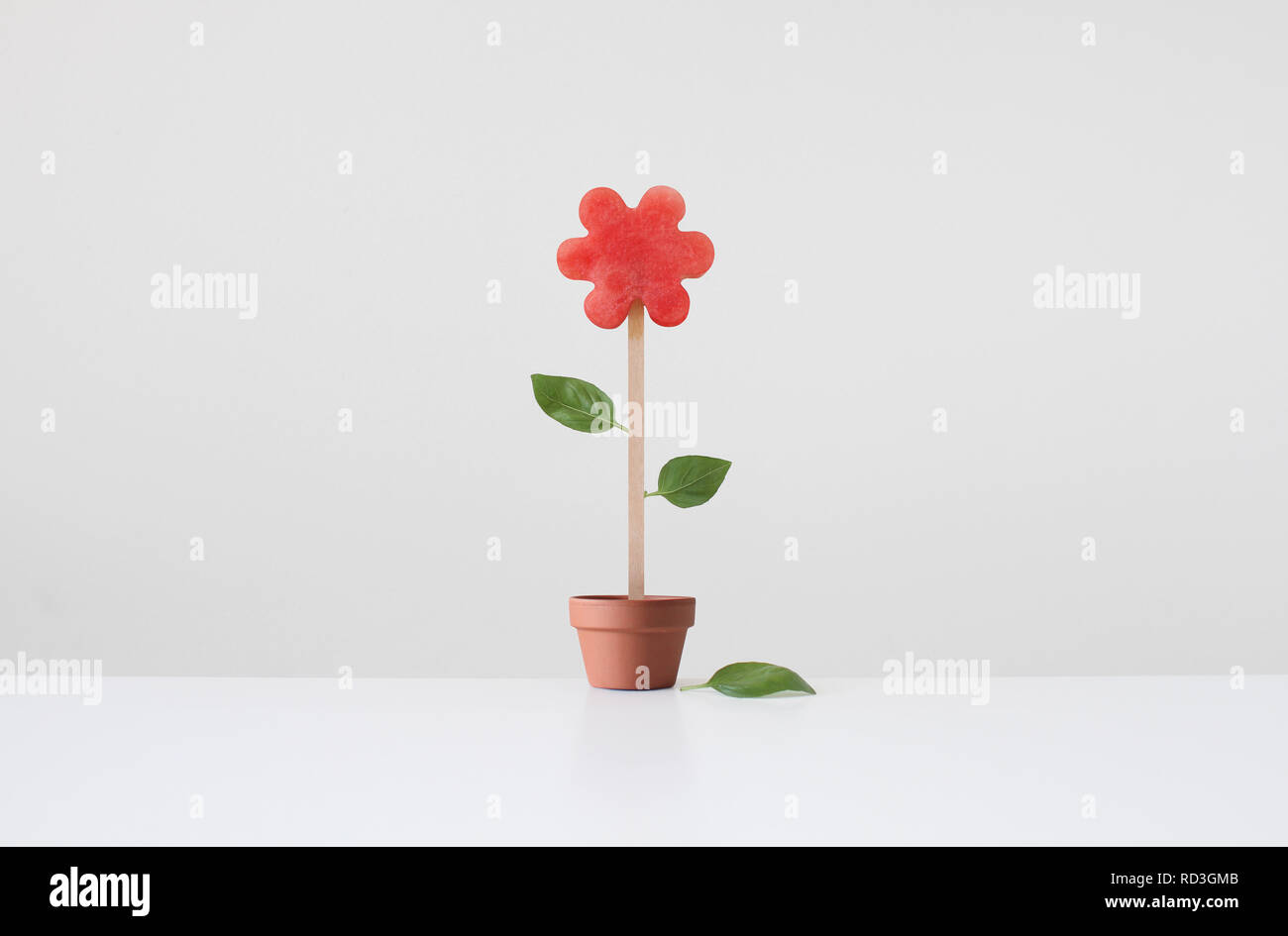 Conceptual flower losing a leaf growing in a pot plant Stock Photo
