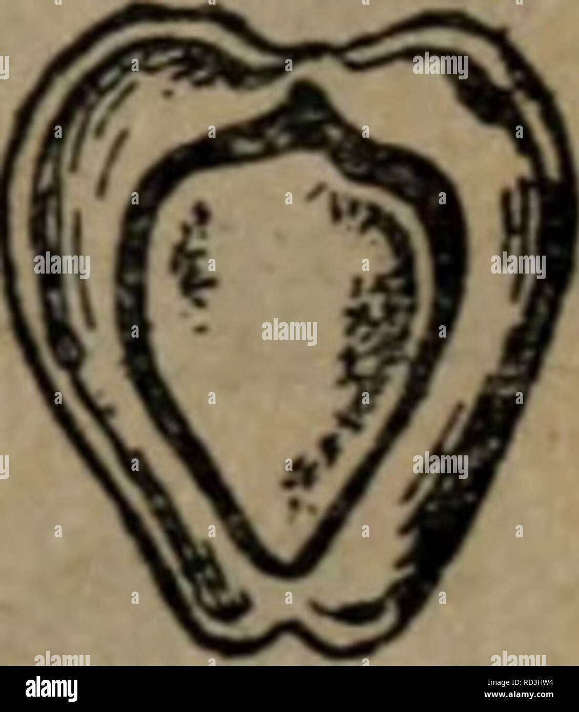 Da Tian Zuo Wu Botany Ae F Ii A S J 6 A 41aae Eµcc A I Flae C Ci 6aae C Ci Eaca e Eµca E Ae A Aºa A I Ae E Ae A A Ae Eªa A º A Ae A A A Ae A A Aeae Ae A A Ac Ae Aea A Ae C Aeaea A e A Ae Ae ae A A Ae Ee A Ae A A Aeae E E A