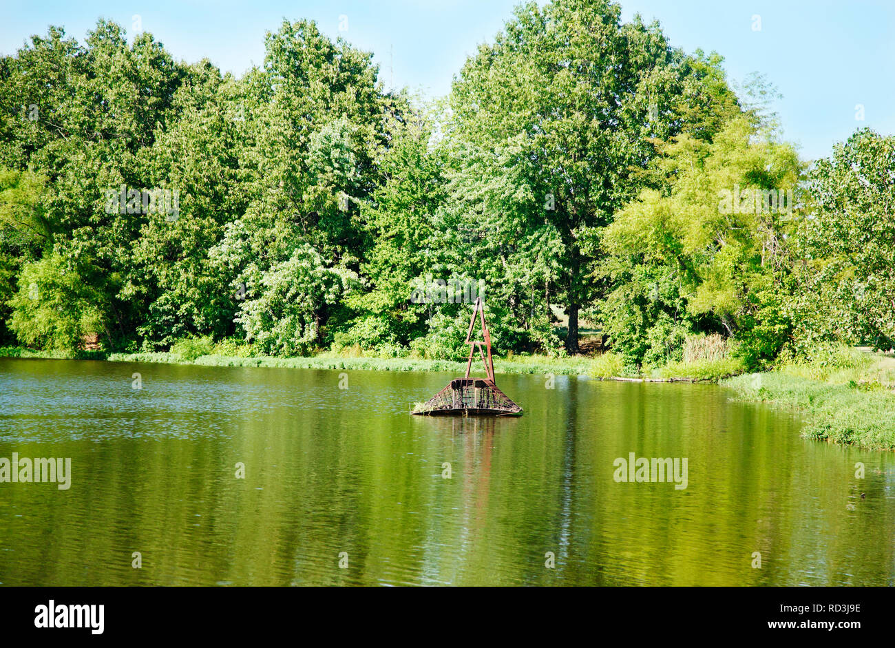 Treelined lake in the summer, Shreveport, Louisiana, United States Stock Photo