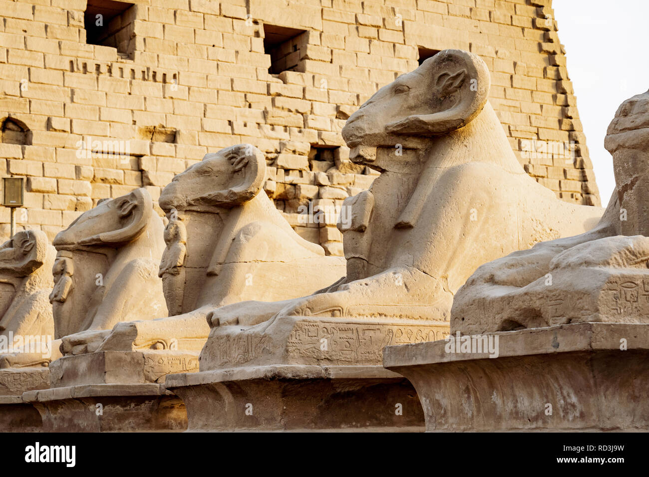 Karnak Temple sphinxes alley. Ram headed sculptures in front of Karnak Temple in Luxor Stock Photo