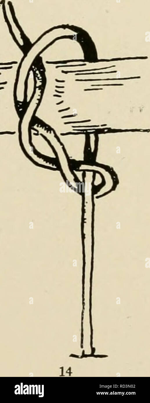 Timber hitch hires stock photography and images Alamy