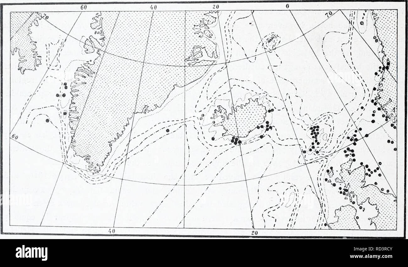 . The Danish Ingolf-expedition. Marine animals -- Arctic regions; Scientific expeditions; Arctic regions. i84 HYDROIDA II One risk attaching to the insertion of the mentioned boreo-arctic and Lusitanian mixed areas lies on the one hand in the fact that by such further division, the whole arrangement is rendered less easy to survey and handle. If, however, other and more essential advantages were procured by so doing, we should naturally not hesitate to accept the biogeographical sub-areas in question But here a very serious difficulty makes itself felt, more particularly on considering the gro Stock Photo