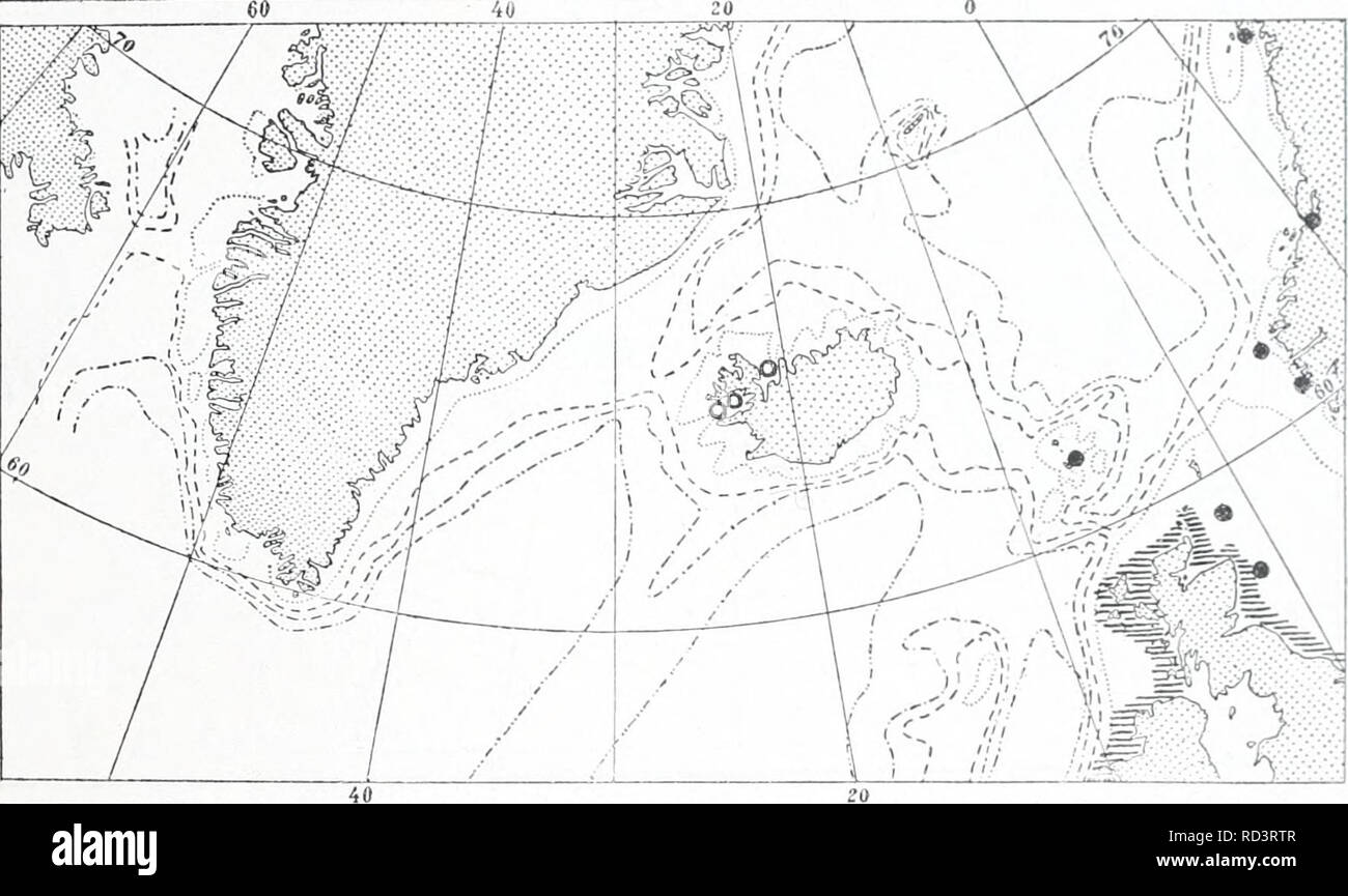 . The Danish Ingolf-expedition. Marine animals -- Arctic regions; Scientific expeditions; Arctic regions. HYDROIDA 53 Pcrigoiiiiiiiis rcpois is a southern species which penetrates into our seas. It has been recorded from tlie Mediterranean and the west coast of France, and occurs frequenth' in the sea round Great Britain and Ireland. Already in the North Sea its occtirrencc is more straggling. In the Danisli waters and along the coast of Bohuslan it is still rather frequent. On the coast of Norway it is not uufrequently met with in the Trondhjemfjord, where the fauna, on the whole, bears a sou Stock Photo