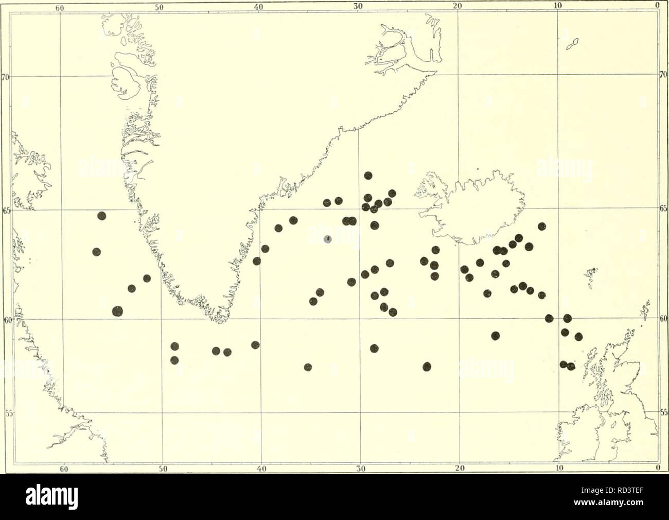 . The Danish Ingolf-expedition. Marine animals -- Arctic regions; Scientific expeditions; Arctic regions. 10 TOMOPTKRID.I-: AND TYPHLOSCOLECID.-Iy The &quot;Ingolf&quot; Expedition has taken the species in the following localities: St. to. 64°24' N. 28°5o' W. - St. n. 64°34' N. 3i°i2' W. -- St. ly. b2q' N. 26°55' W. -- .St. 18. Oi '44' X. 30°29' W. — St. n). 6o°29' N. 34°i4' W. — St. 20. 58°2o' N. 40°48' W. — St. 22. 58°io' N. 48°25' W. - St. 24. o.;:ob' X. 56on' V. — St. 27. 64=54' N. 55°io' W. — St. 37. 6o°iy' N. 54°05' W. — St. 47. 6i°32' N. ; , p'W. - St. 49. 62 07' X. 1507' W. -- St. 5 Stock Photo