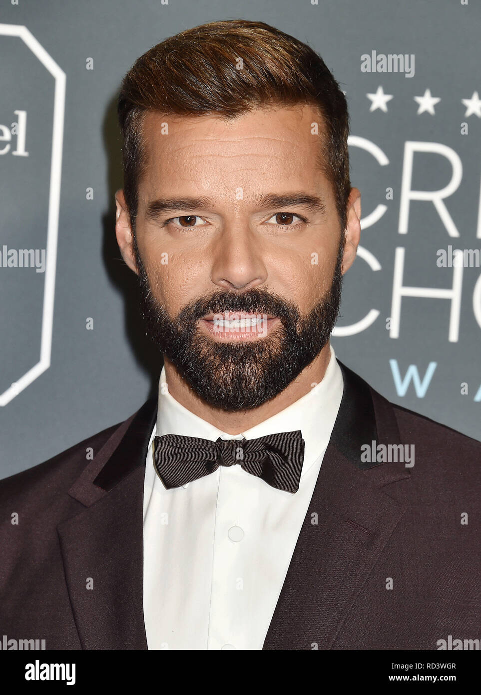 SANTA MONICA, CA - JANUARY 13: Ricky Martin arrives at the The 24th Annual Critics' Choice Awards attends The 24th Annual Critics' Choice Awards at Ba Stock Photo