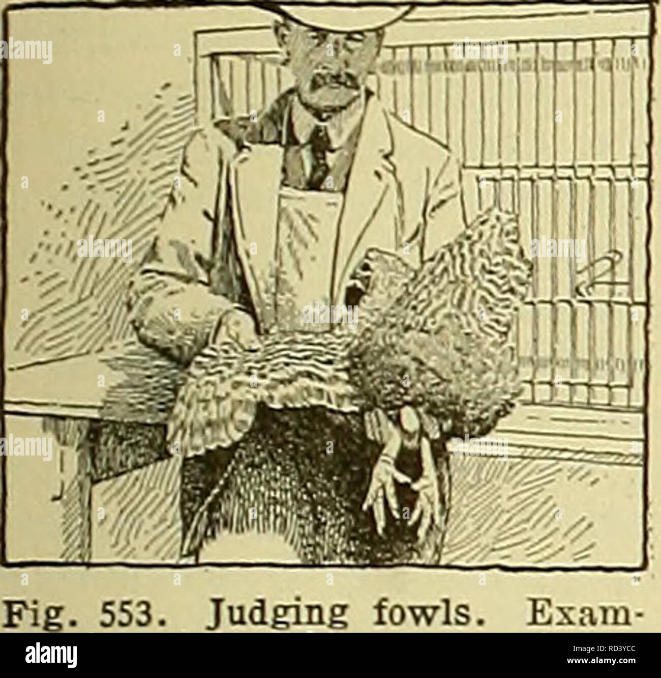 Cyclopedia Of Farm Animals Domestic Animals Animal - 