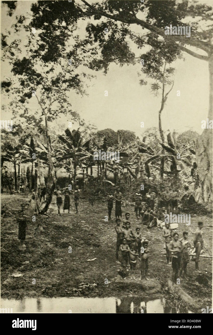 Dans La Grande Foraªt De L Afrique Centrale Mon Voyage Au Congo Et A La Mongala En 16 Botany Pi 21 Ma A Indiga Nes D Irebu Frana Ais A La Rive Please Note That These Images Dans La Grande Foraªt De L Afrique Centrale Mon Voyage Au Congo Et A La Mongala En 16 Botany Pi 21 Ma A Indiga Nes D Irebu Frana Ais A La Rive Please Note That These Images