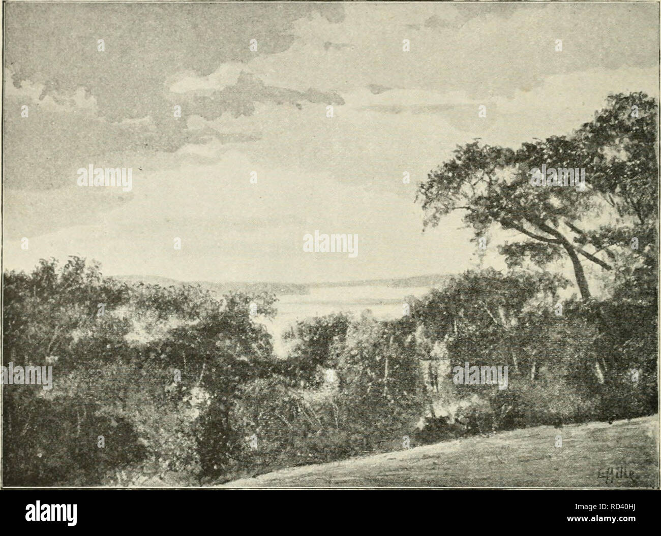 Bolobo High Resolution Stock Photography And Images Alamy