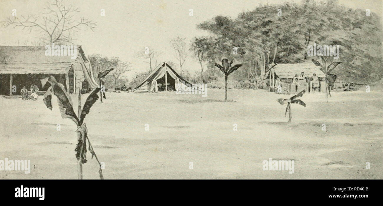 De La Savane High Resolution Stock Photography And Images Alamy