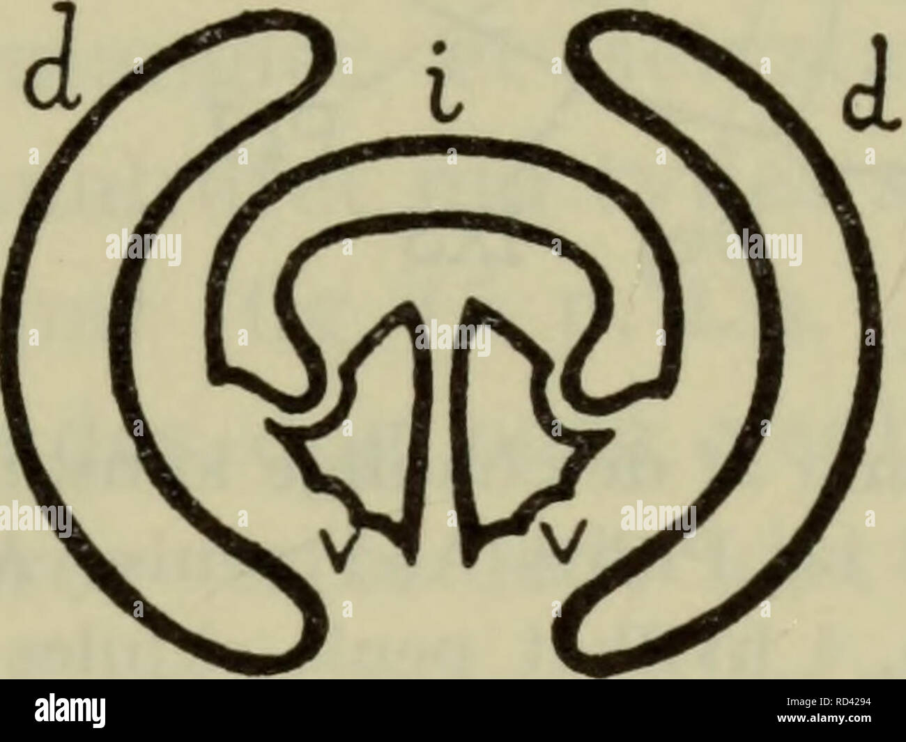 Politimann, kutt ut dine Løgner.. Er de Schizofren også ?.; Jeg er deg ikke  skyldig en dritt..: september 2015, image size:1300x1065