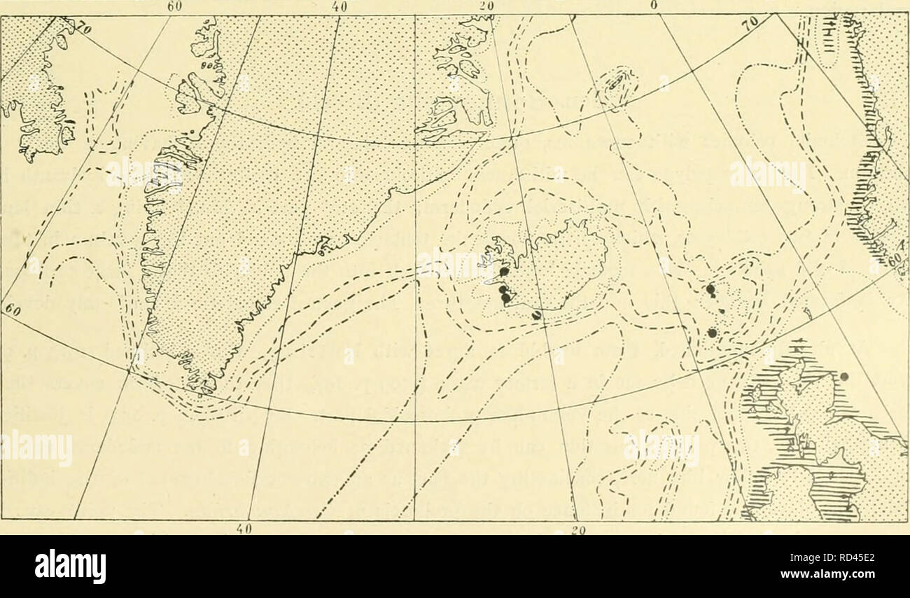 . The Danish Ingolf-expedition. Marine animals; Marine animals; Hydrography; Hydrography; Scientific expeditions. 2 00 m. boom. looom.  , 2coO(Ti Fig. LXXXVII. The distribution of Laomedea hyalina in the Northern Atlantic. In the hatched region the literature notes a scattered occurrence.. Fig. LXXXVIII. The distribution of Laomedea gracilis in the Northern Atlantic. In the hatched regions the literature notes a scattered occurrence.. Please note that these images are extracted from scanned page images that may have been digitally enhanced for readability - coloration and appearance of these i Stock Photo