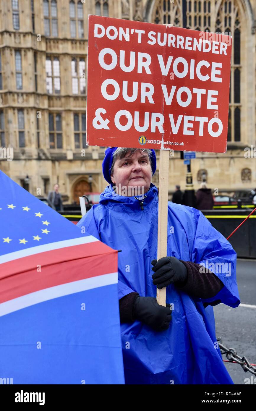 London, UK. 16th January, 2019. Pro EU Remainer.On the day that the House debated a Labour no-confidence motion in Theresa May following yesterday's Brexit deal defeat.Houses of Parliament,Westminster,London.UK Credit: michael melia/Alamy Live News Stock Photo