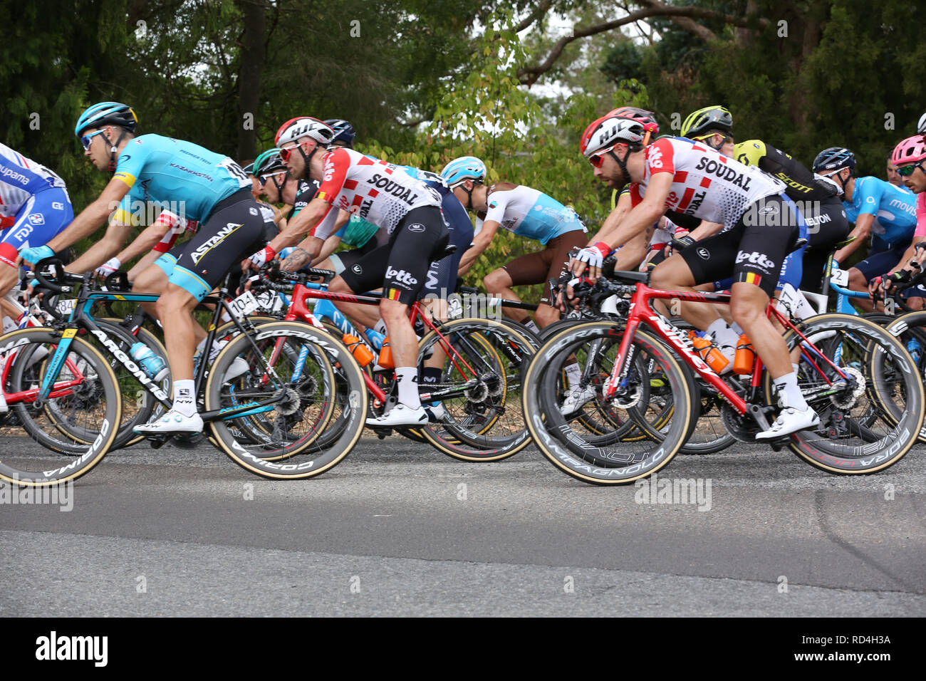 Riders competing in Stage 3 of the 2019 Tour Down Under cycling race